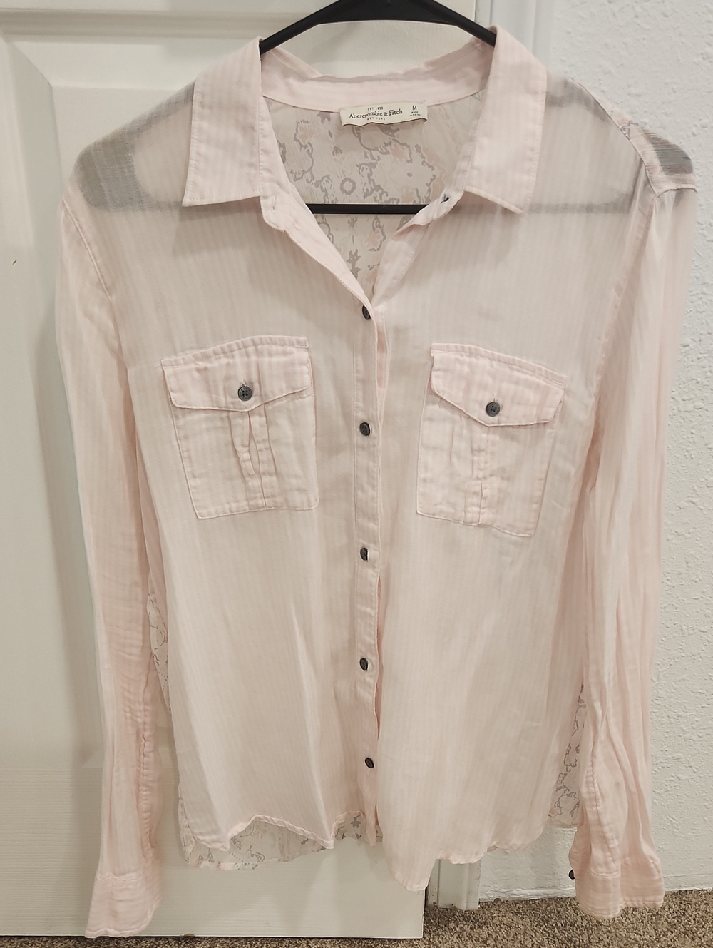 Abercrombie & Fitch Light Pink Sheer Button-Front Shirt